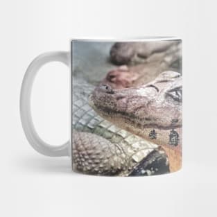 colorized vintage photo of caiman Mug